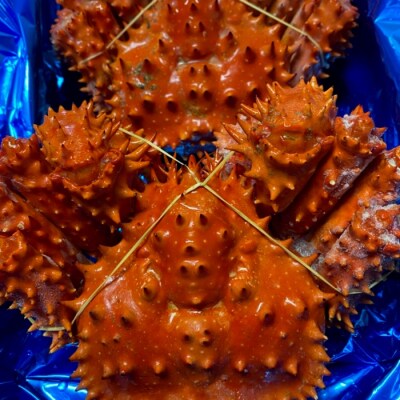 【北海道根室産】ボイル花咲かに500～600g×2尾 A-72012