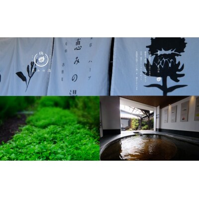 岐阜各務原　恵みの湯　入浴券(10枚)【338】