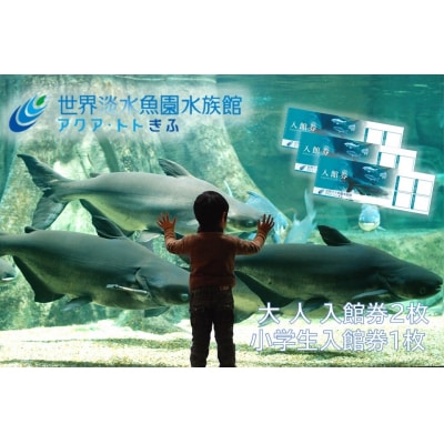世界淡水魚園水族館　アクア・トトぎふ　入館券(大人2枚・小学生1枚)【508】