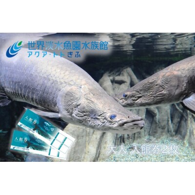 世界淡水魚園水族館　アクア・トトぎふ　入館券(大人2枚)【506】