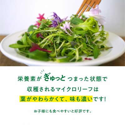 マイクロリーフミックス【40g】&エディブルフラワーミックス【20輪】セット【931】