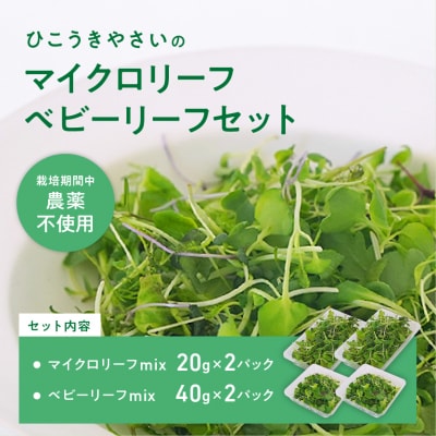 マイクロリーフミックス【20g】&ベビーリーフミックス【40g】健康野菜の食べ比べセット【932】