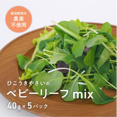 葉が柔らかくて、味が濃い!!「岐阜県産」ミックスべビーリーフ【40g】×5セット【933】
