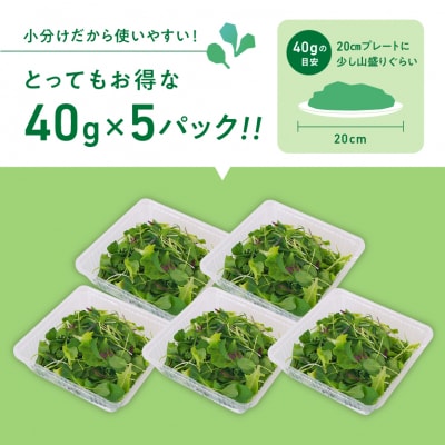 葉が柔らかくて、味が濃い!!「岐阜県産」ミックスべビーリーフ【40g】×5セット【933】