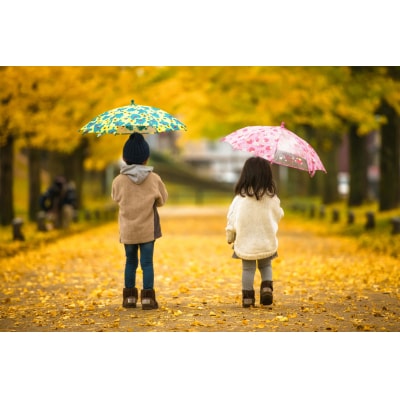 写真家 小林淳によるロケーション撮影(計1時間:15カット保証)【545】