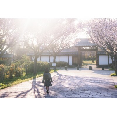 写真家 小林淳によるロケーション撮影(計1時間:15カット保証)【545】