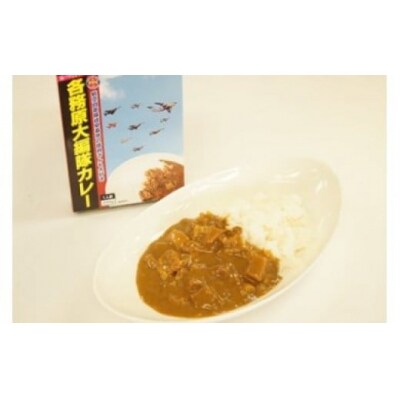 各務原大編隊カレー　10箱セット 【26】