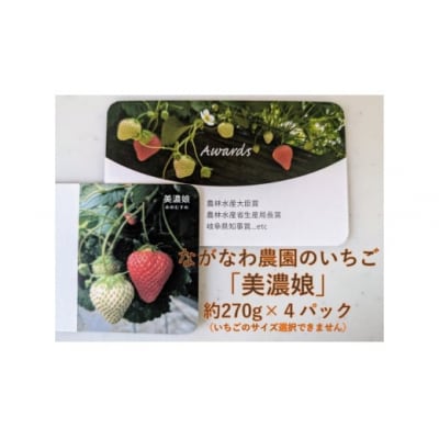 (予約)ながなわ農園のいちご「美濃娘」約270g×4パック【99】