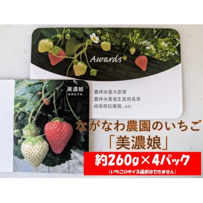 (予約)ながなわ農園のいちご「美濃娘」約260g×4パック【99】
