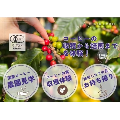 コーヒー栽培ハウスの見学+収穫～焙煎体験+試飲【991】