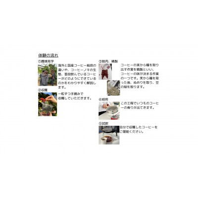 コーヒー栽培ハウスの見学+収穫～焙煎体験+試飲【991】