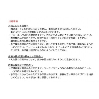 コーヒー栽培ハウスの見学+収穫～焙煎体験+試飲【991】