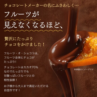 フルーツ・オ・ショコラ　オレンジ(210g×2袋)【1000】