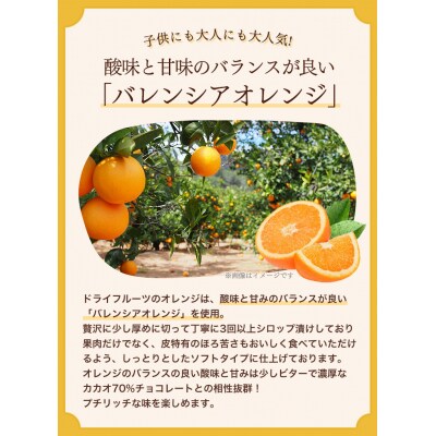 フルーツ・オ・ショコラ　オレンジ(210g×2袋)【1000】