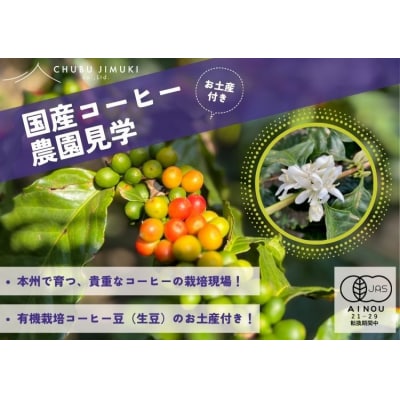 有機栽培のコーヒー豆のお土産付き、コーヒー栽培ハウスの見学【989】