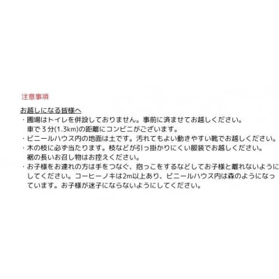 有機栽培のコーヒー豆のお土産付き、コーヒー栽培ハウスの見学【989】