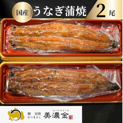 美濃金　神田本店　炭焼　国産うなぎ蒲焼2尾【1036】