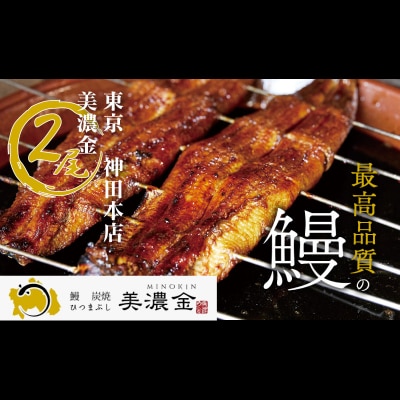 美濃金　神田本店　炭焼　国産うなぎ蒲焼2尾【1036】
