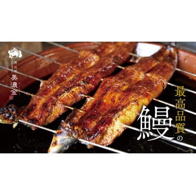 美濃金　神田本店　炭焼　国産うなぎ蒲焼2尾【1036】