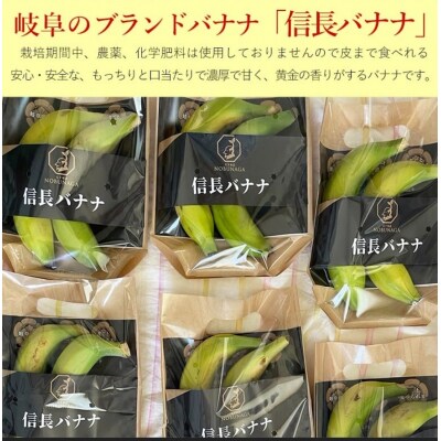 天下布武信長バナナ　約1kg　サイズお任せ　岐阜県産　糖度25度前後　無農薬　無添加【1041】