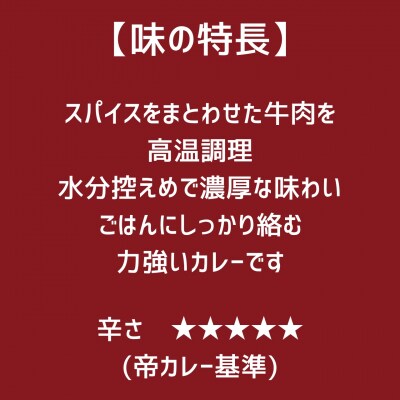 帝カレー　牛肉ごろごろスパイシーカレー(ビーフブナ)5袋セット【527】