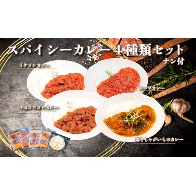 帝カレー　スパイシーカレー4種類セット【518】