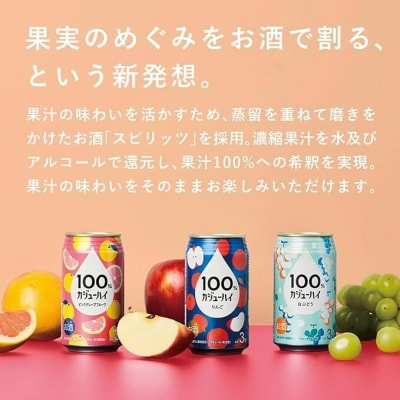 100%カジューハイ りんご チューハイ 340ml×24本 1ケース【1125】