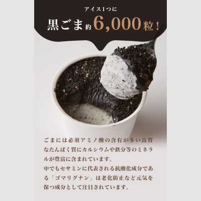 胡麻ジェラ -極- 濃香黒ごま三層仕立て <5個入>【1214】