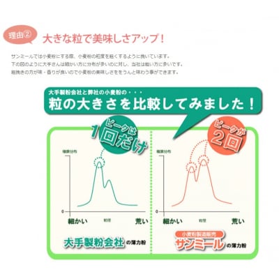 岐阜県産準強力粉(タマイズミ1等粉)10kg【1226】