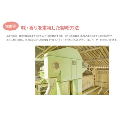 岐阜県産準強力粉(タマイズミ1等粉)10kg【1226】