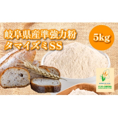 タマイズミSS　5kg 岐阜県産小麦準強力粉【1227】