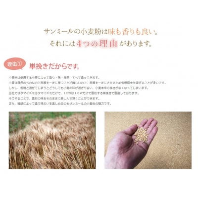 タマイズミSS　10kg 岐阜県産小麦準強力粉【1228】