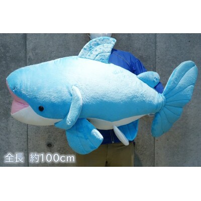 世界淡水魚園水族館　アクア・トトぎふ　ぬいぐるみ　メコンオオナマズ特大【511】