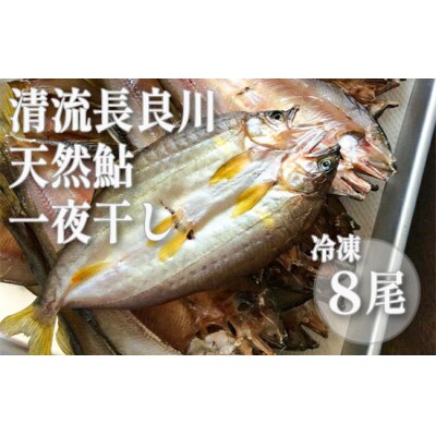 【皇室献上御料場近郊】川漁師の天然鮎一夜干し【72】