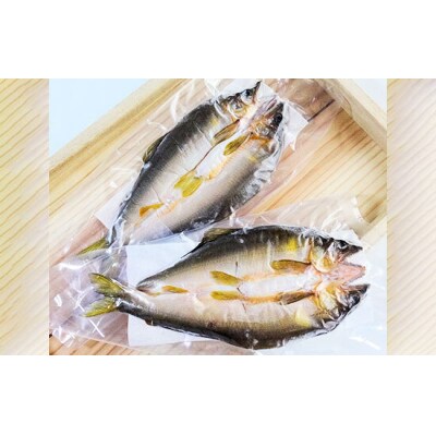 【皇室献上御料場近郊】川漁師の天然鮎一夜干し【72】