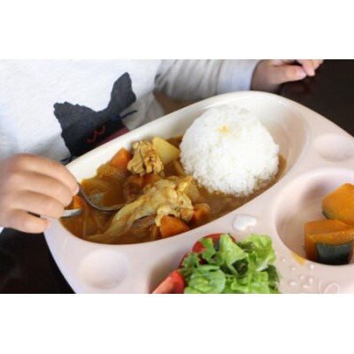 おうちで本格スパイスカレーセット【630】