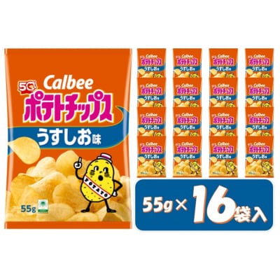 カルビー　ポテトチップス　うすしお味　16袋【1378】