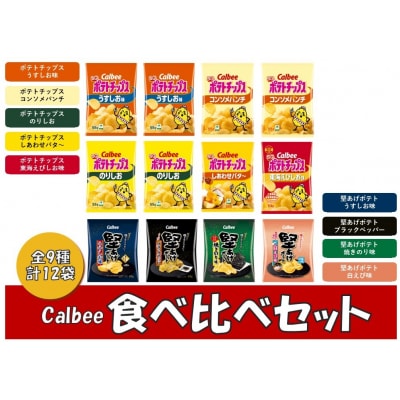 カルビー　ポテトチップス　堅あげポテト　食べ比べセット　全9種　12袋【1381】