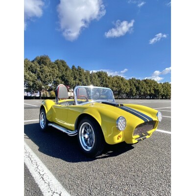 岐阜・各務原　レンタルミニカー(3時間コース)【ミニジープ・ミニコブラ】【1192】
