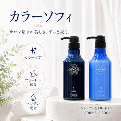 上善　カラーソフィシャンプー 300ml・トリートメント 300g　セット【1389】