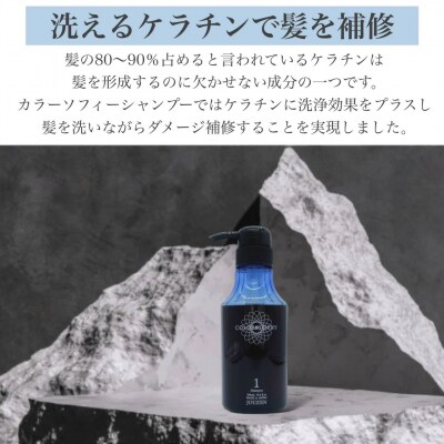 上善　カラーソフィシャンプー 300ml・トリートメント 300g　セット【1389】