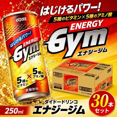 エナジージム　250ml×30本【1407】