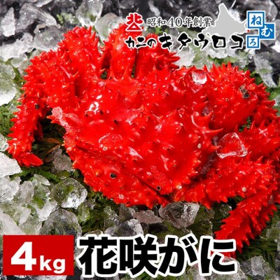 【北海道根室産】花咲がに姿8～10尾(計4kg) C-25017