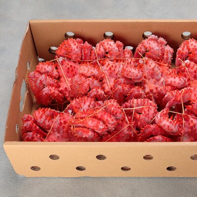 【北海道根室産】花咲がに姿8～10尾(計4kg) C-25017