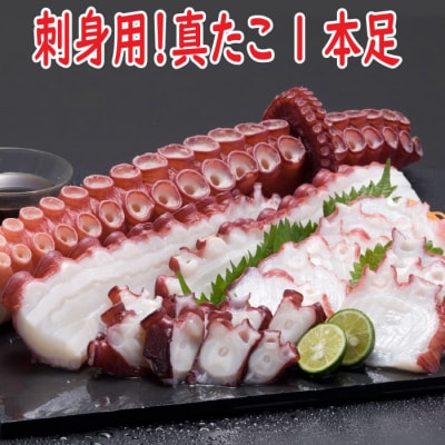 【北海道根室産】真たこ1本足1～1.3kg A-19004