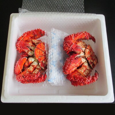 【北海道根室産】花咲かに(メス)700～800g×2尾 B-19001