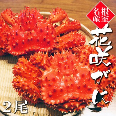 【北海道根室産】花咲がに650～750g×2尾 C-32020