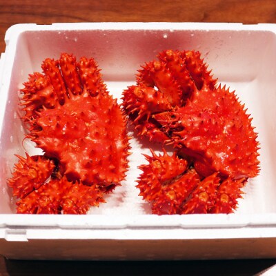 【北海道根室産】花咲がに650～750g×2尾 C-32020