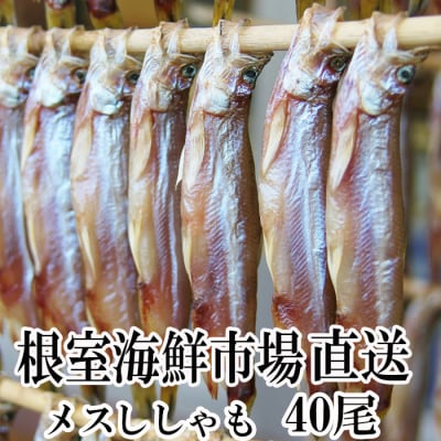 根室海鮮市場＜直送＞メスししゃも40尾 A-28218