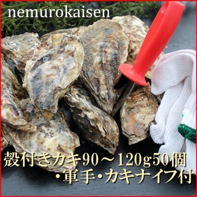 【北海道根室産】殻付カキ90～120g×50個 D-57027